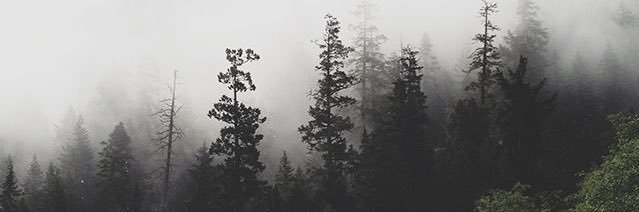 Lisa_LCM's profile banner image
