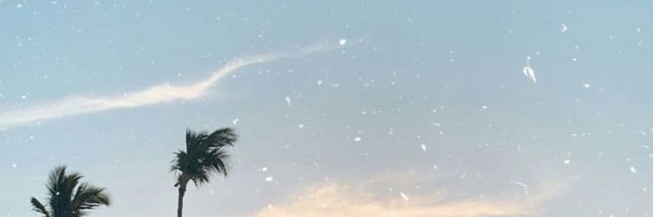 withbernardo's profile banner image