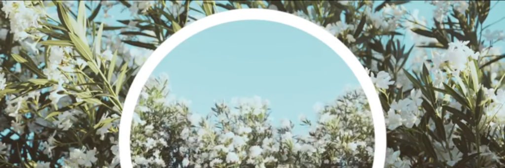 mattteobell's profile banner image