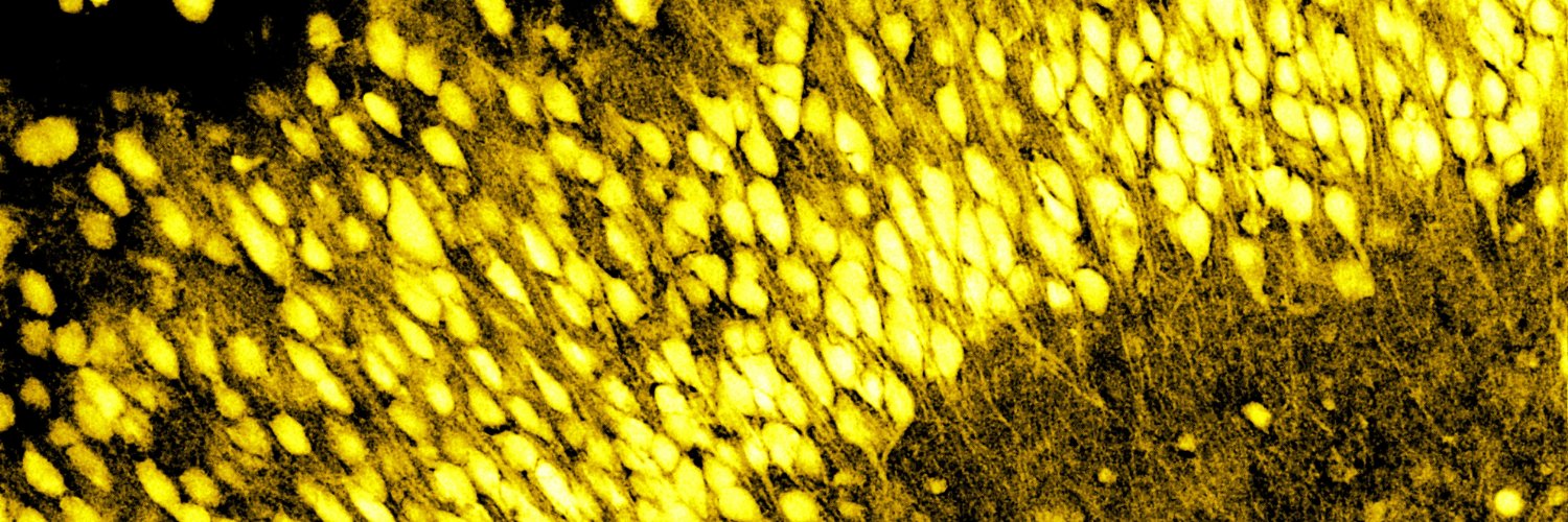 🇺🇦TønnesenLab banner