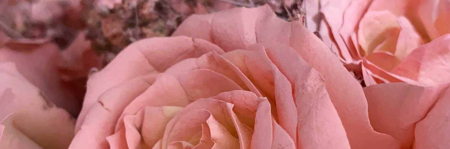 Rraarw's profile banner image