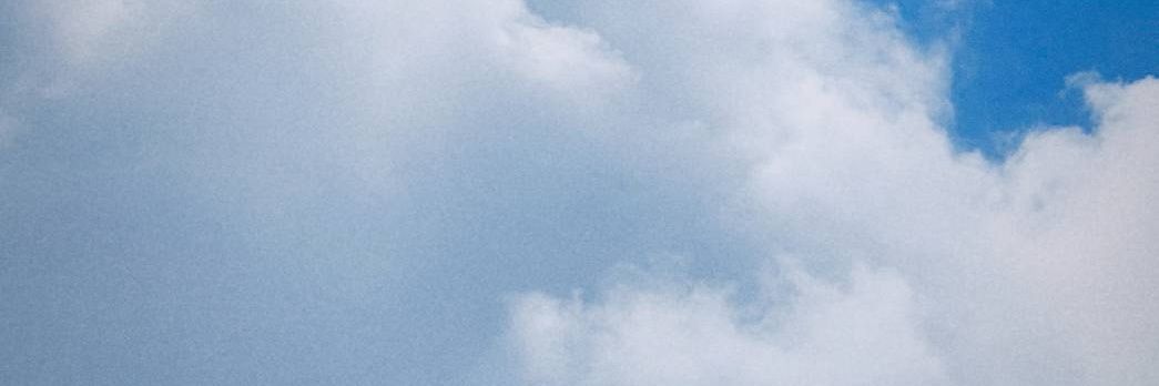 🌻 banner