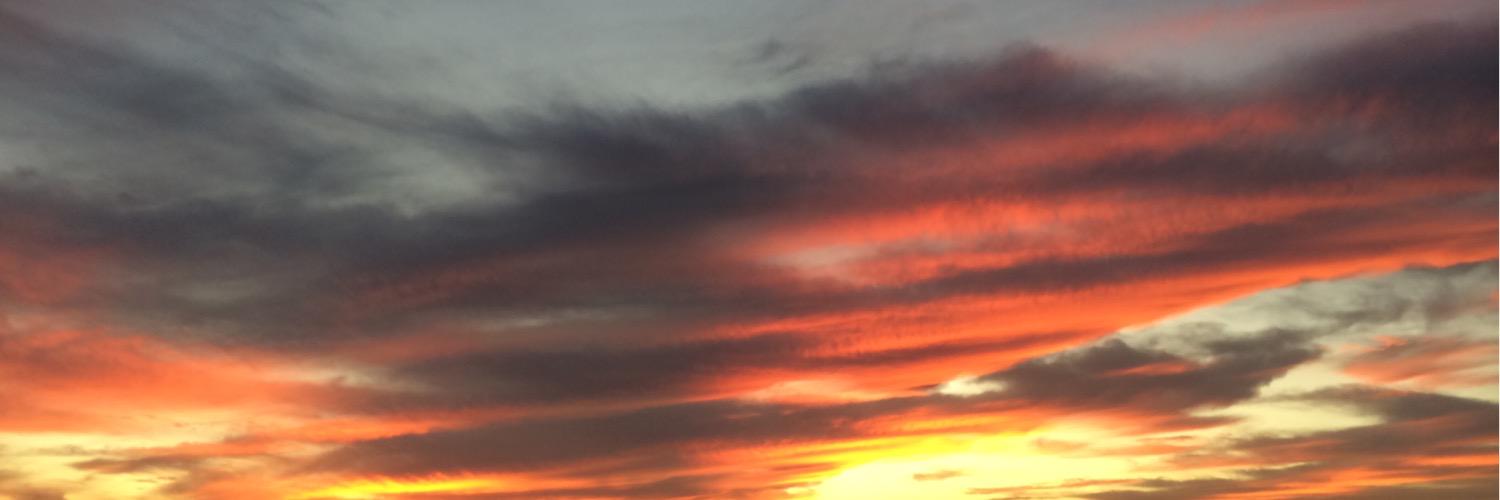 Bridget Millsaps banner