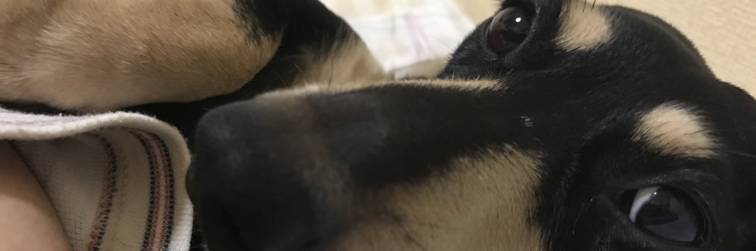 tmonst's profile banner image