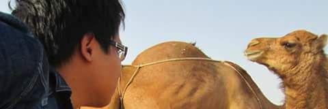 Razli Gutama banner