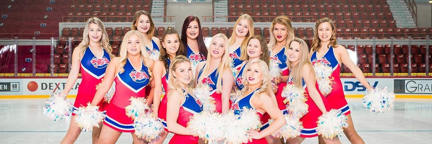 BigRedCats's profile banner image