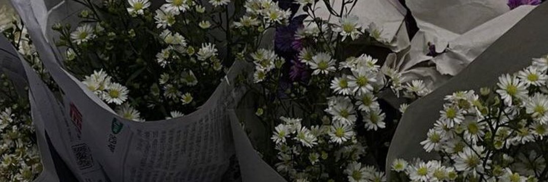 owlry15's profile banner image