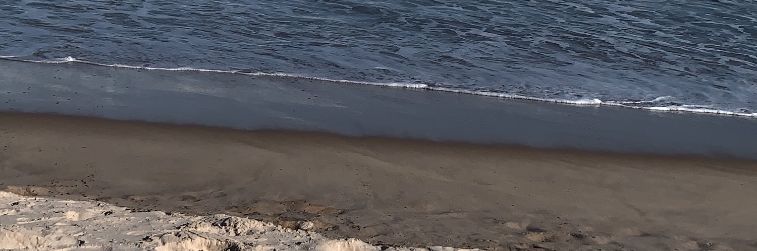 MayMoniki's profile banner image