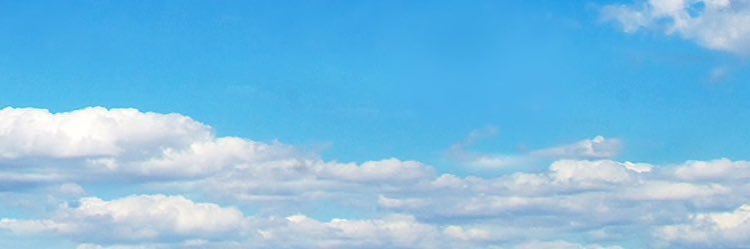 SeagullShingo's profile banner image