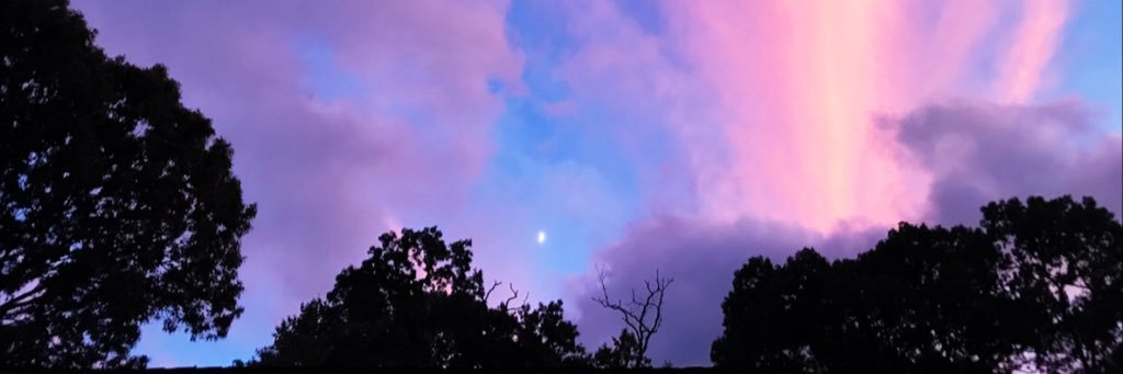 jamiedonnally's profile banner image