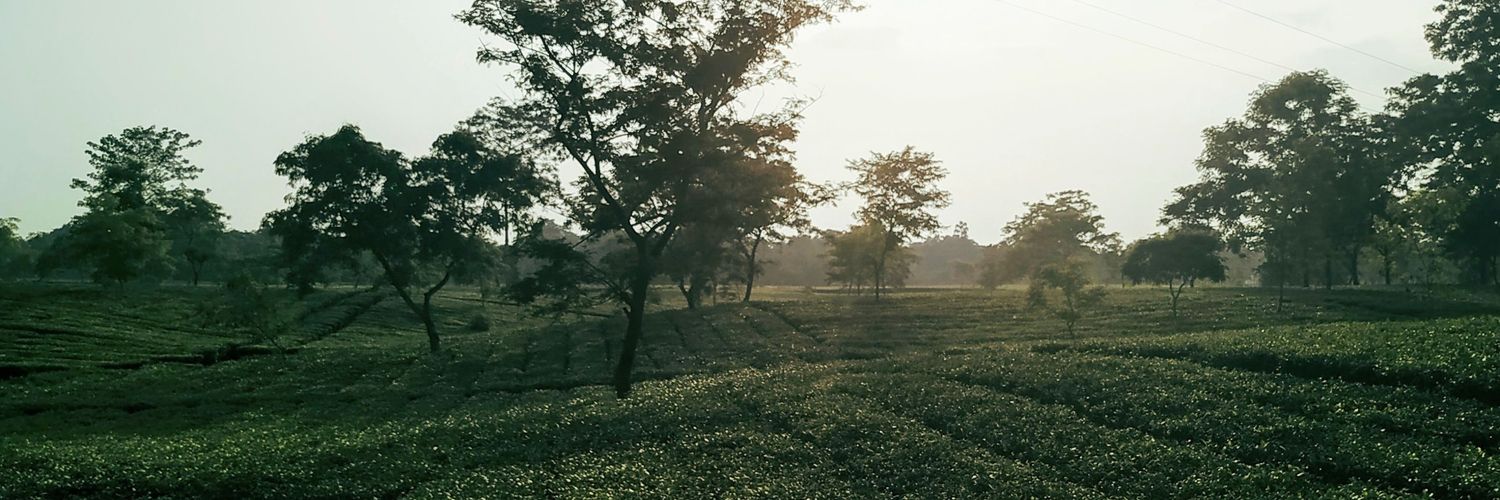 ashishbothra14's profile banner image