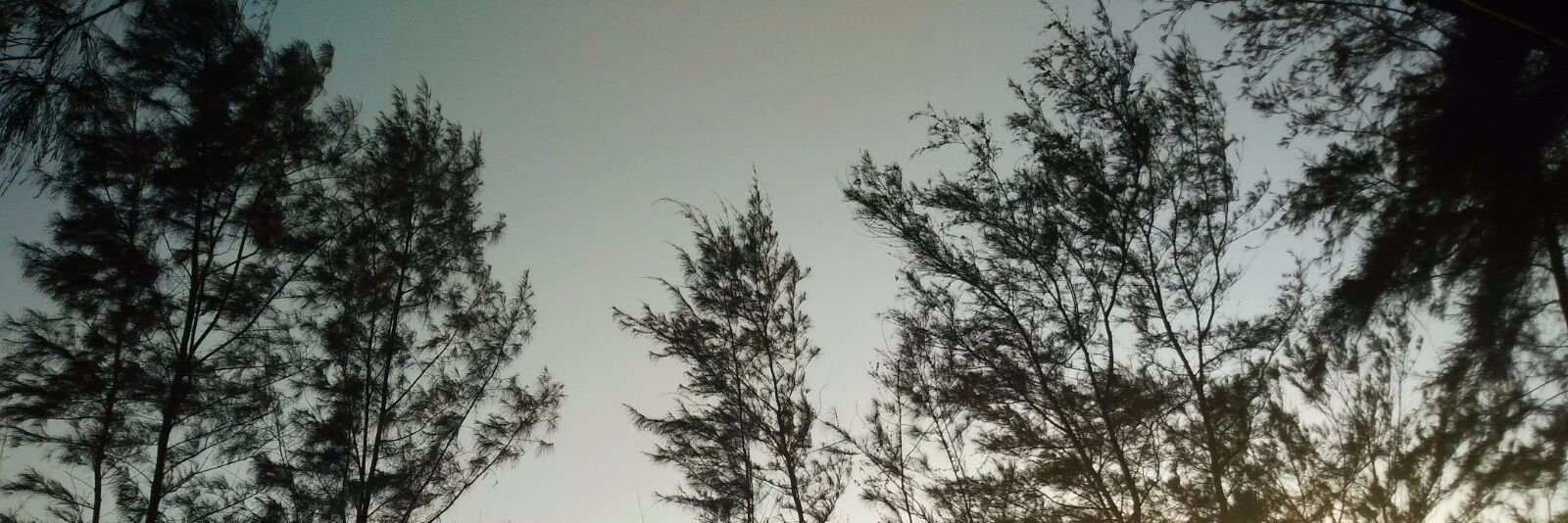 Anjali Viswamohanan banner