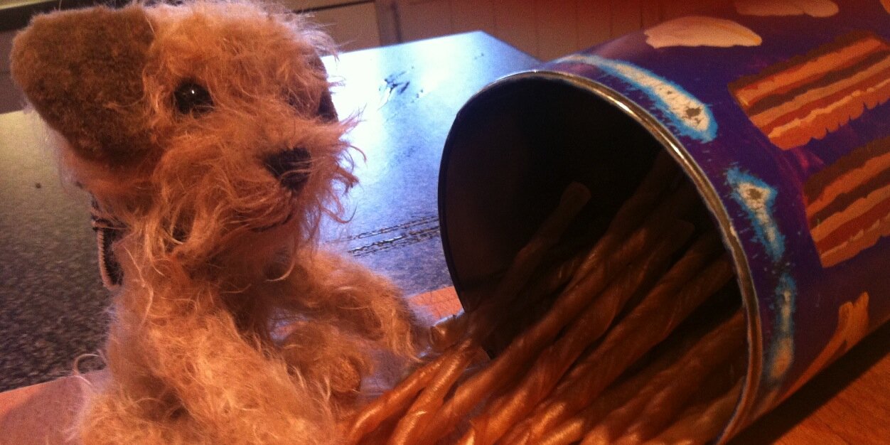 Terrier Typist banner