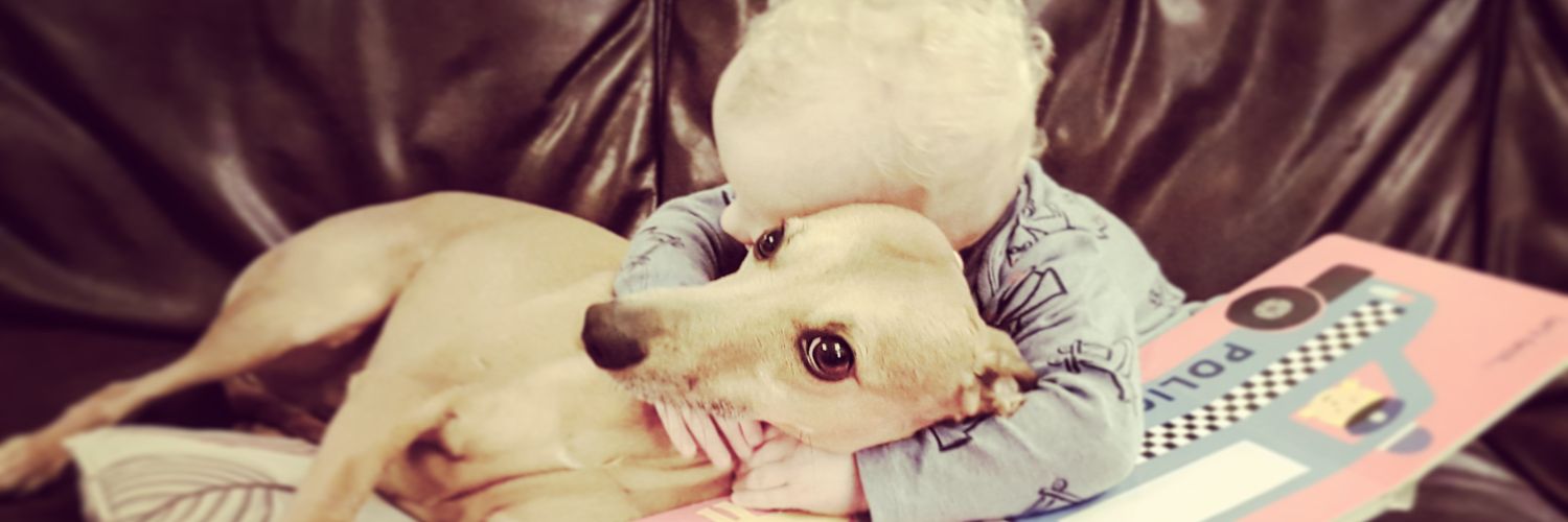 heathermarsden's profile banner image
