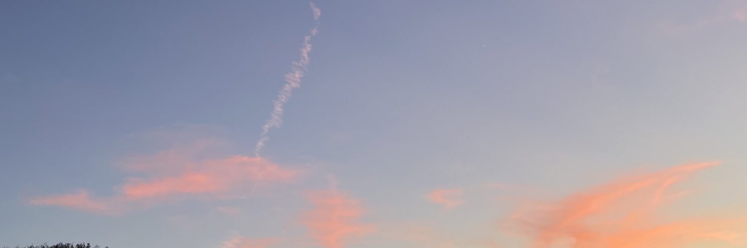 caroo banner