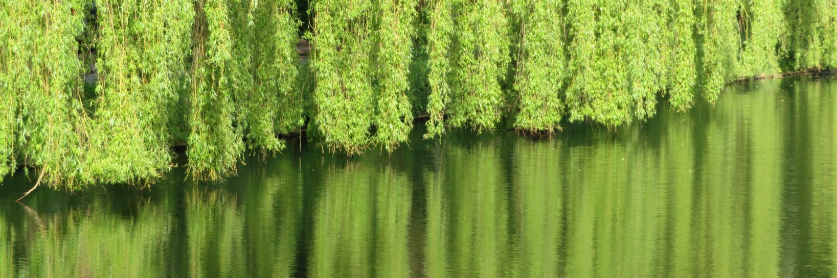 timonviestit's profile banner image