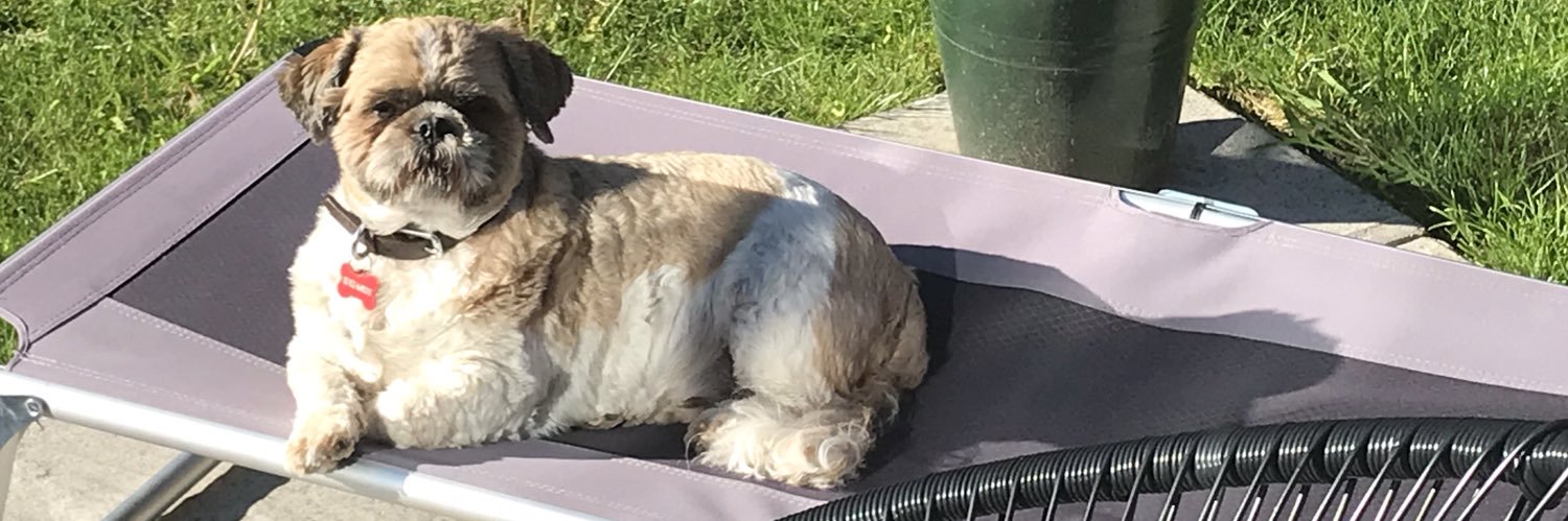 Danielle Steventon banner