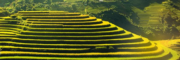 Bichnguyen91 Profile Banner