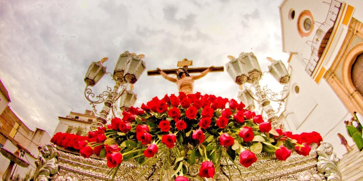 CoinVeraCruz's profile banner image