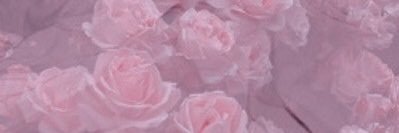 sav_freelancer's profile banner image