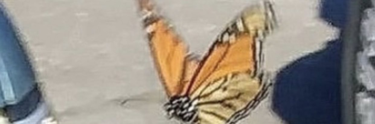 christner_emily's profile banner image