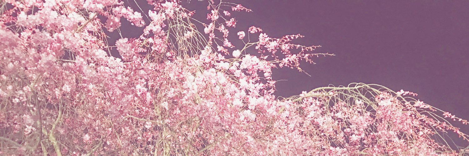Akane314Akane's profile banner image