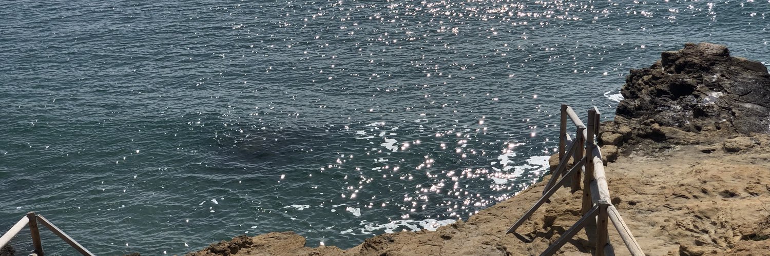 Xevi  Romero Garcia banner