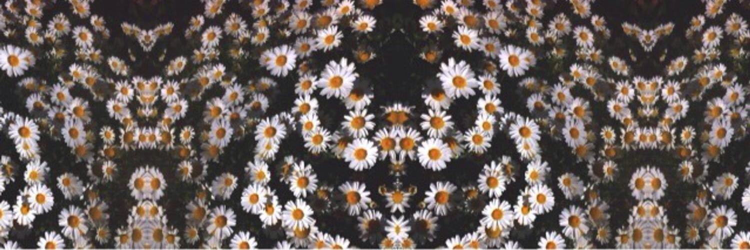 vibevisionz's profile banner image