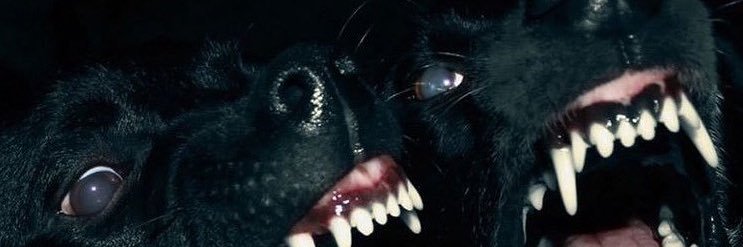 brethrenjames's profile banner image