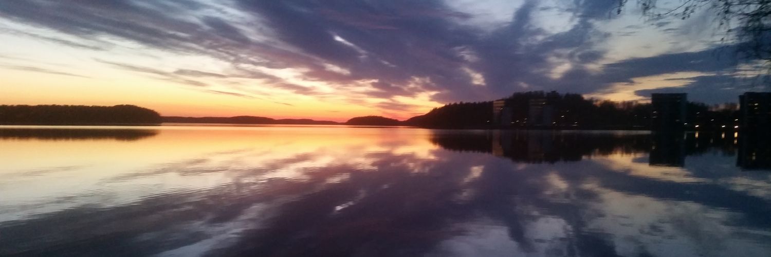 Visa Veijonen banner