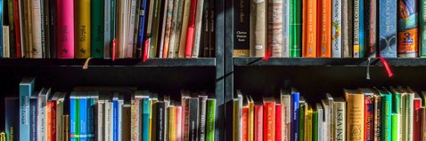 Carolyn Hopkins banner