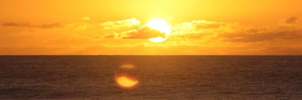 swaldrop02 Profile Banner