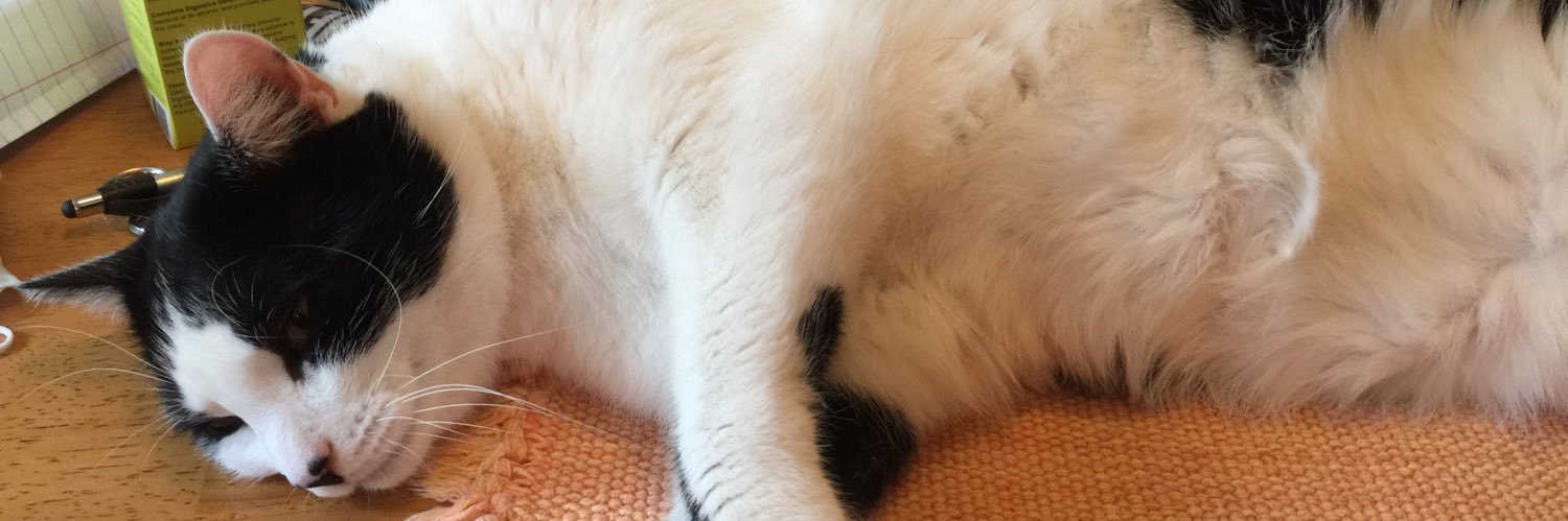 Cripcrone's profile banner image