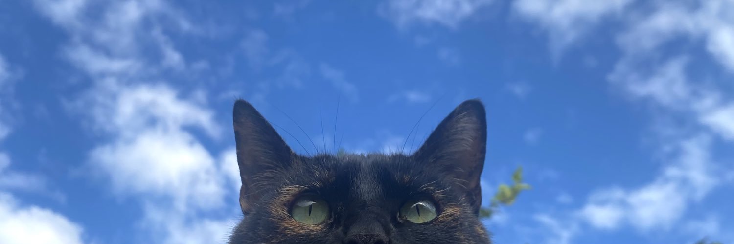 Florleal0's profile banner image