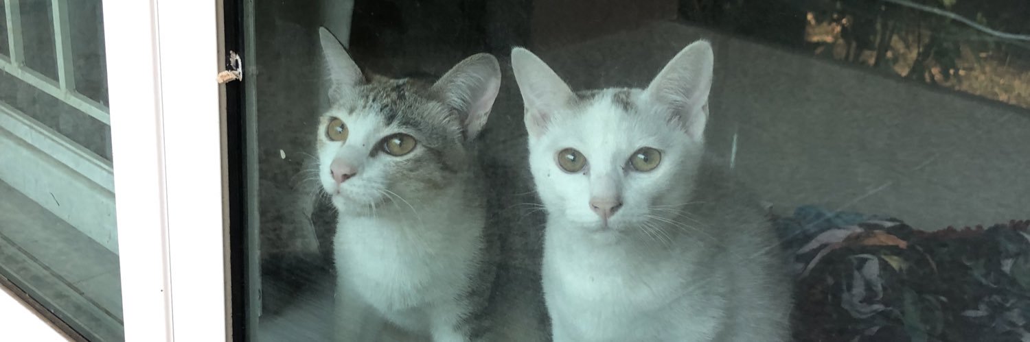 PTPuntter's profile banner image
