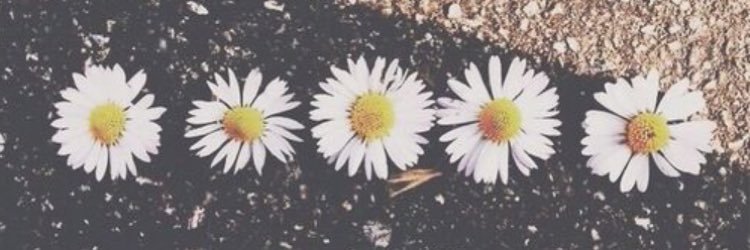 _sarahc12's profile banner image