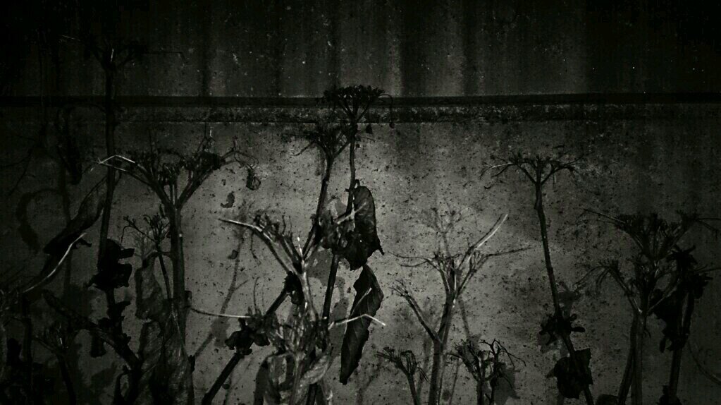 sh1joh6's profile banner image