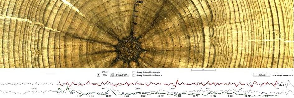 Mauri Timonen banner