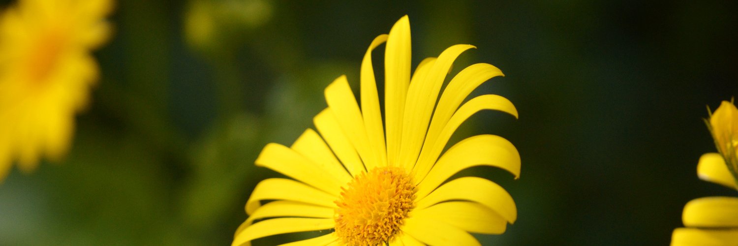 08schang's profile banner image