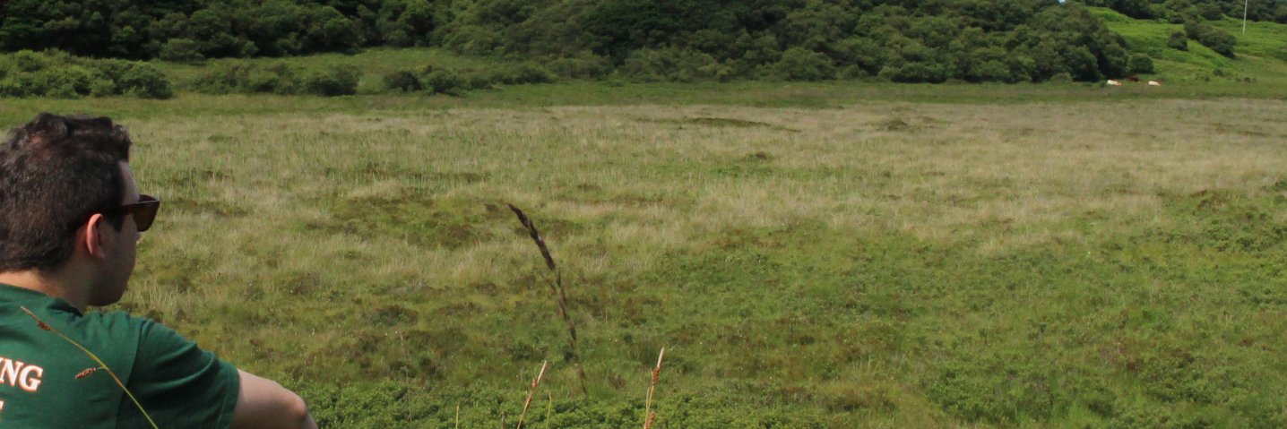 danieledaler's profile banner image