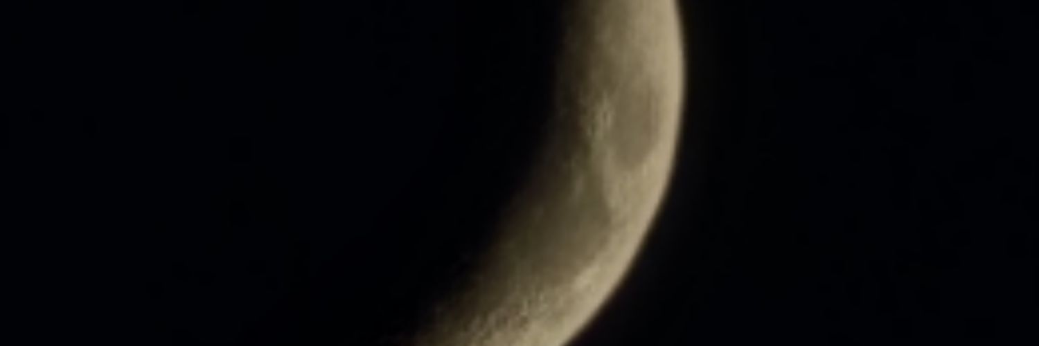 DaeWrynn's profile banner image