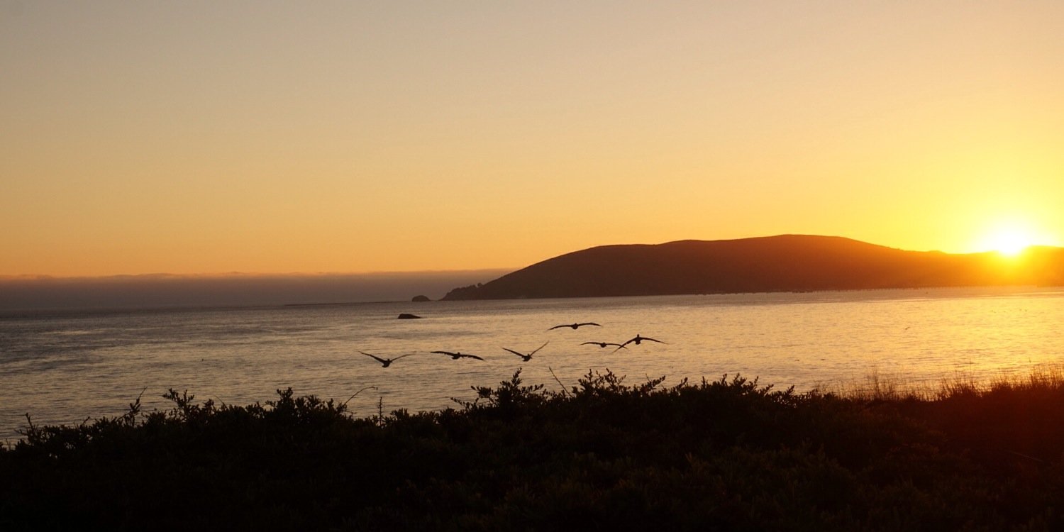 Dave Stevenson banner