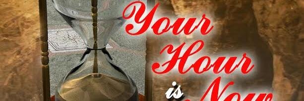 AndreaCoffer's profile banner image