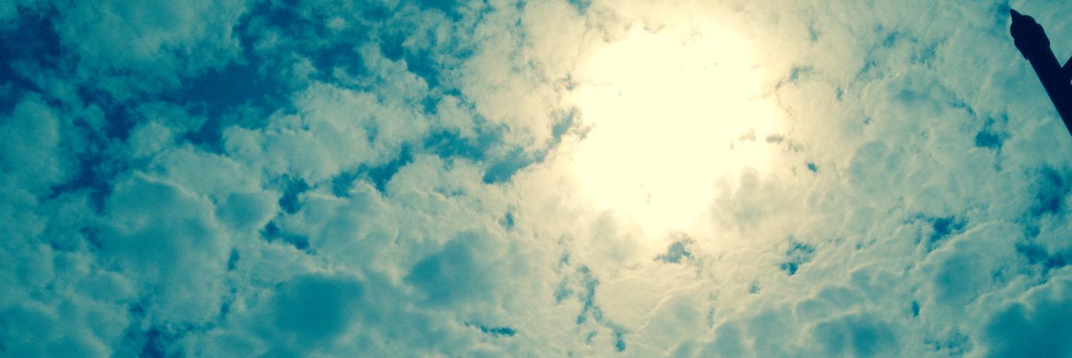 Coleen Shirin banner