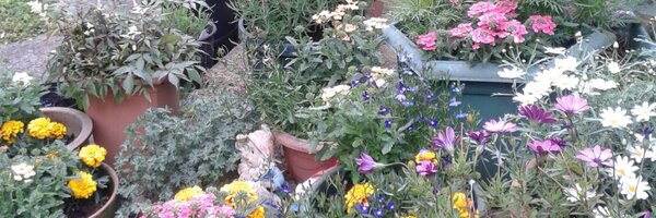 SquallyC Profile Banner