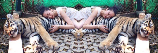 im_walnut's profile banner image