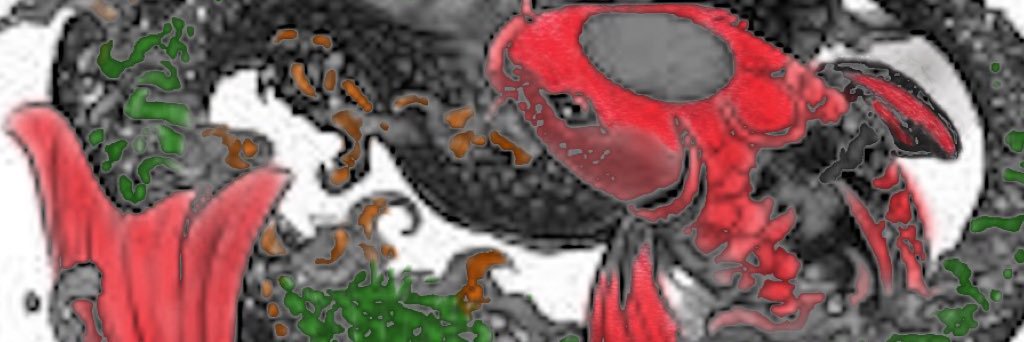 Pointman72_1's profile banner image