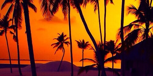 MartaMaestro1's profile banner image