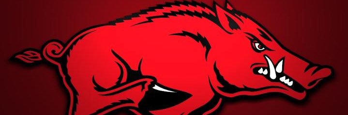 HogFan_4 banner