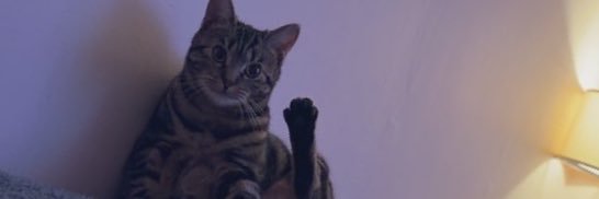 PRENEZ LE TRAIN DK OMG? banner